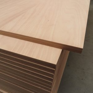 Plywood Beech