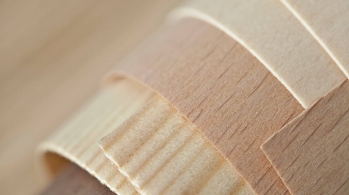 Veneer sipic doo - bosnia and herzegowina (3)