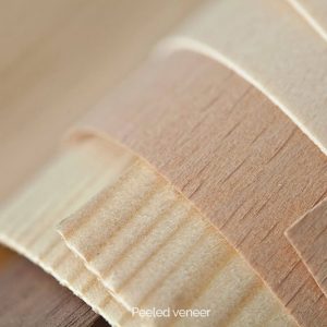 Peeled veneer